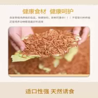 2.5cm 300条送镊子 面包虫子活体黄粉虫鲜活大麦虫鹦鹉八哥乌龟小鸟食活的饲料钓鱼
