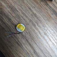 单个 3.7v可充电LIR1254 助听器电池蓝牙耳机70mah纽扣电池