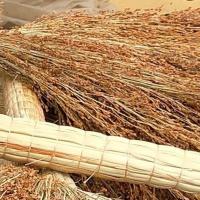 一把大款 2O21年山东市场最优级 高粱农家自产精品,扫把、扫帚,庭院学校工厂建筑装修清理耐用