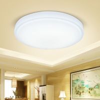 全白款 直径20cm白光24瓦 圆形LED吸顶灯卧室灯简约客厅灯餐厅灯过道阳台灯节能厨卫生间灯