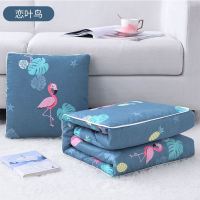 恋叶鸟 合起40*40展开100*150cm 抱枕被子两用靠垫被沙发办公室午休靠枕头被空调汽车腰枕床头靠背