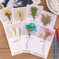 8张满天星干花贺卡混发 韩国创意金属高档中秋情人节日生日感谢祝福卡留言小卡片感恩贺卡
