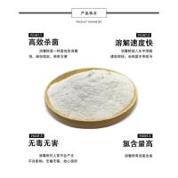 家用自来水饮用水井水水窖漂白粉消毒剂杀菌除味鱼塘养殖 10送1