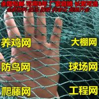 1米高10长养殖网 养鸡网养殖网养鸭网养鹅网菜园网山鸡网围栏网家禽网防鸟网天网