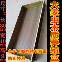 大麦虫木质养殖盒 环保木材质 大麦虫 蛋白虫 浅盘长方形 养殖盒 产卵筛