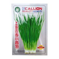 小香葱种子2包(2000粒) 热卖水培香葱种头四季小葱种籽家庭阳台种菜盆栽蔬菜苗葱种子葱头