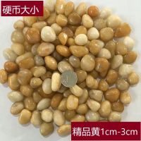 黄色1cm-3cm 5斤 实惠装 南京雨花石鹅卵石精品黄石头多肉盆栽水培铺路观景家装园艺
