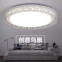 鸟巢白色 直径40厘米48瓦三色变光 LED圆形吸顶灯卧室灯客厅灯阳台灯过道走廊灯书房灯现代鸟巢灯具