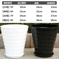 小号(直径19cm高度16) 白色(1个盆)螺纹盆 有托 超大螺纹花盆加厚白色黑色仿瓷树脂花盆送托盘盆景植物大型塑料盆
