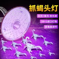 (54+1)进口灯珠 双光源升级版 蝎子灯专用捕蝎紫光超亮照蝎子头戴灯白光头戴式强光手电充电头灯