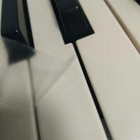 透明 电子琴五彩键盘贴,五彩,不褪色变色,快速揭除不留胶印、无残留。