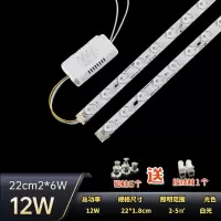 led透镜白光 led透镜款22cm2条6W led灯条吸顶灯灯芯改造led灯泡节能灯超亮灯管长条灯板透镜光源