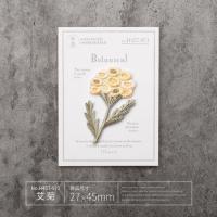 艾菊（熨烫款） 小号精致刺绣植物花朵布贴衣服补丁贴时尚百搭包包diy装饰熨烫贴