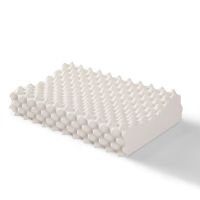 乳胶枕小朋友款30X50一只装带枕套 泰国原装天然乳胶枕头一对枕芯家用护颈椎低枕儿童枕单双人睡助眠