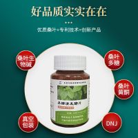 一瓶(体验装) 正宗桑叶发酵片含片维生素片中老年成人天然桑葚液压片桑叶粉片食