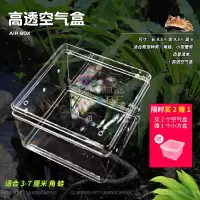 高透空气盒1个 角蛙饲养盒饲养箱造景角蛙乌龟蝾螈缸两栖专用带晒台蜘蛛盒子饲养