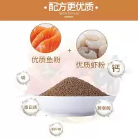 斗鱼饲料60克(推荐) 泰国斗鱼活体半月狮王将军马尾公鱼母鱼热带观赏鱼宠物鱼活体冷水