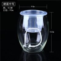 鹅蛋中号送定制蓝棉绳 玻璃花瓶透明水仙加厚绿萝花盆客厅室内鱼缸鹅蛋水培水养植物器皿