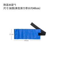 小号降温冰袋*1只(建议买2个) 厨师机冰袋 冰桶降温奶油打发烘焙专用 打面揉面面包机可重复使用