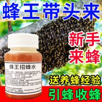 蜂王诱蜂水1瓶 神奇招蜂水引蜂水诱蜂水收蜂水诱蜂液收捕野蜜蜂信息素蜂王信息素