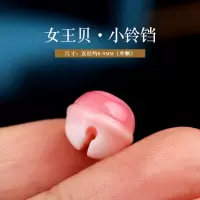 女王贝小铃铛直径约8-9mm 精品保真女王贝胭脂螺小铃铛隔珠弟子珠吊挂坠佛珠手串DIY配饰