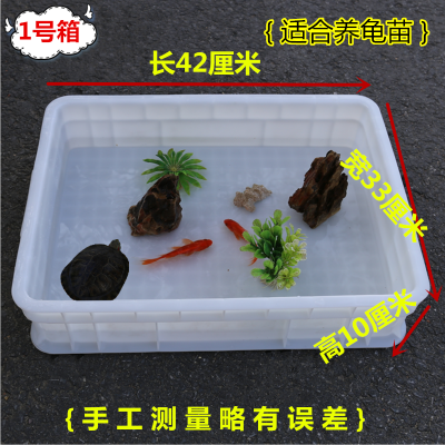 1号箱{适合养龟苗} 乌龟缸小号家用塑料养龟箱带排水饲养鱼盆窝专用龟池孵化盒大型白