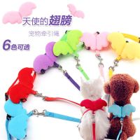 草绿色 XS-超小型 4斤以下 狗狗牵引绳猫咪狗链子小型犬猫绳子宠物用品泰迪遛狗绳狗带牵引带