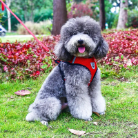 红色[送牵引绳] S[猫3-8斤/狗2-5斤] 猫咪牵引绳背心式狗牵引绳泰迪小型犬幼犬遛狗绳溜猫绳外出防挣脱