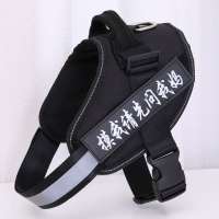 沉稳黑 XS-适合7-14斤宝贝 狗狗胸背带链遛狗绳金毛柯基泰迪小中型犬狗背心式宠物用品牵引绳