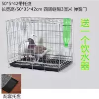 50*35*42带粪盘 鹦鹉鸟笼加厚家用鸡笼子小型肉鸽笼蛋鸽信鸽笼室外训放笼鸽子室内