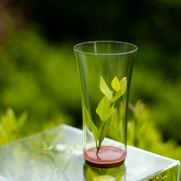 SYT木底玻璃杯 耐热绿茶杯龙井猴魁个人专用办公室泡茶杯安吉白茶玻璃杯家用水杯