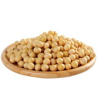 黄豆250g 容威豆芽机 黄豆种子 发黄豆芽 东北黄豆高发芽率 250克