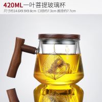 一叶菩提个人杯 茶杯专属杯子三件套耐热茶水分离泡茶杯家用过滤花茶杯日式玻璃杯