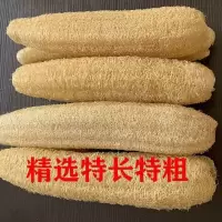原色25厘米10个装 原色25厘米10个装天然老丝瓜络洗碗不沾油刷锅神器抹布丝瓜瓤藤壳