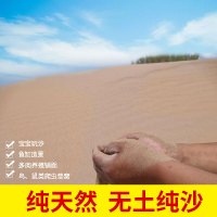 天然沙漠细沙儿童乐园宝宝玩具沙仓鼠浴沙宠物沙乌龟宠物鱼缸沙子