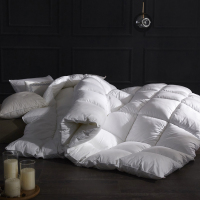 高贵白 150*200cm 夏凉被 被子冬被棉被太空被双人被芯夏单人春秋四季被褥学生宿舍空调被薄
