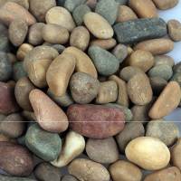 五斤0.8-1.2cm 天然乌龟晒台大号鹅卵石 盆缸扁平造景 晒背石 观景石可堆叠浮岛
