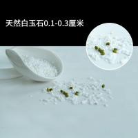 0.1-0.3厘米小白石(1斤) 天然白石头小白石子鹅卵石雨花石原石天然多肉铺面园艺造景花盆