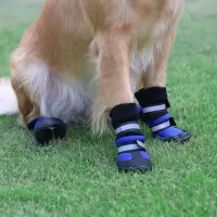 蓝色 XS 秋冬款中型犬大型犬金毛萨摩耶狗狗鞋子大狗保暖高帮靴耐磨长筒鞋
