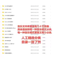 DSD无损音乐HIFI母带音源包wav/flac高品质mp3歌曲车载视频mv下载