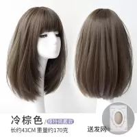 模特佩戴款 甜系少女[冷棕色]送发网 假发女韩国锁骨发 圆脸修脸中短发齐肩发型中长款全头套式假发套