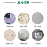 1斤试用装(塑封袋装,送刮板砂纸) 洁鸽内墙耐水腻子粉袋装批墙腻子膏家用修补刮墙大白防水抗裂小包