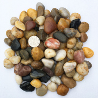 50斤普通五彩1-3cm 50斤鹅卵石铺路铺地庭院园林造景天然大小石头雨花石原石鹅软暖石