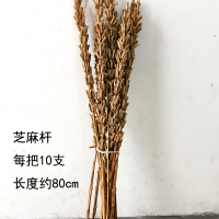 芝麻杆 干花包 麦穗干花水稻穗高粱大麦小米谷子干枝田园农作物装饰五谷丰登杂粮