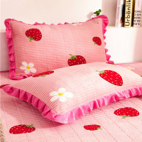 草莓物语粉(单只) 40cmX60cm 水晶绒夹棉枕套一对装保暖珊瑚绒加厚枕头套法兰绒单人单个枕芯套