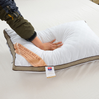 学生规格45*75cm[1只枕芯] 家用枕芯一对护颈枕软单人枕头带枕套两件套助睡眠学生宿舍一只装