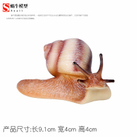 蜗牛 | 淡色 仿真昆虫模型蜗牛玩具蜗娄牛静态实心塑料儿童科教认知礼物摆件