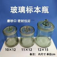 定制 圆形玻璃标本缸磨砂染色缸病理圆形方形染色架实验室展示瓶样品瓶