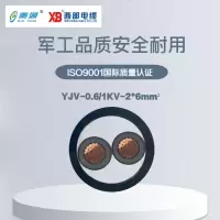 秦源牌 YJV-0.6/1KV-2*6mm² 铜芯低压电力电缆 元/米 定制商品 联系客服