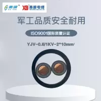 秦源牌 YJV-0.6/1KV-2*10mm² 铜芯低压电力电缆 元/米 定制商品 联系客服